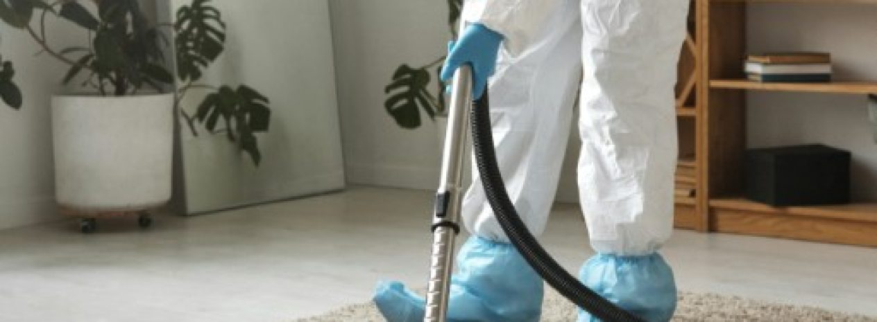 steam clean